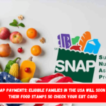 $1,158 SNAP payments eligible families in the USA will soon receive their Food Stamps so check your EBT card