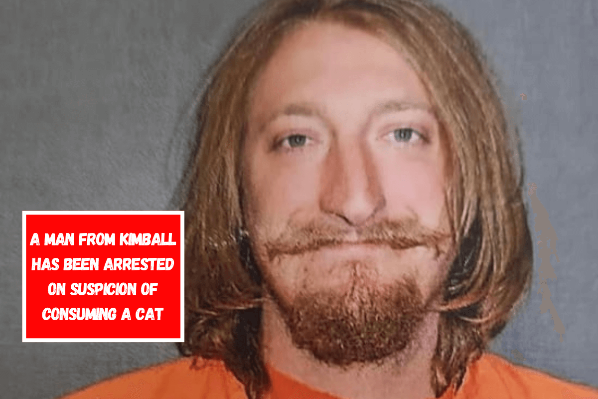 A man from Kimball has been arrested on suspicion of consuming a cat