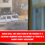 Human skull and arms found in the freezer of a Colorado residence were recognized as those of a Harris County adolescent