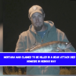 Montana man claimed to be killed in a bear attack died by homicide in heinous way