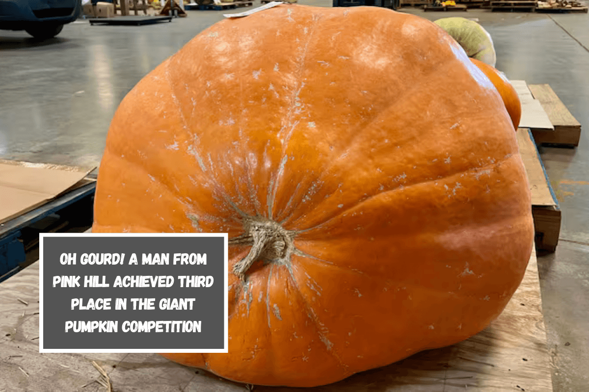 OH GOURD! A man from Pink Hill achieved third place in the giant pumpkin competition.