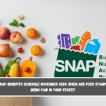 SNAP Benefits Schedule November 2024 When are food stamps being paid in your state