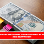 Tips for Recipients Managing Year-End Expenses with Multiple Social Security Payments