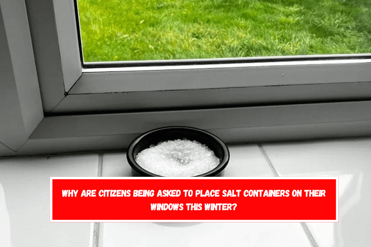 Why are citizens being asked to place salt containers on their windows this winter