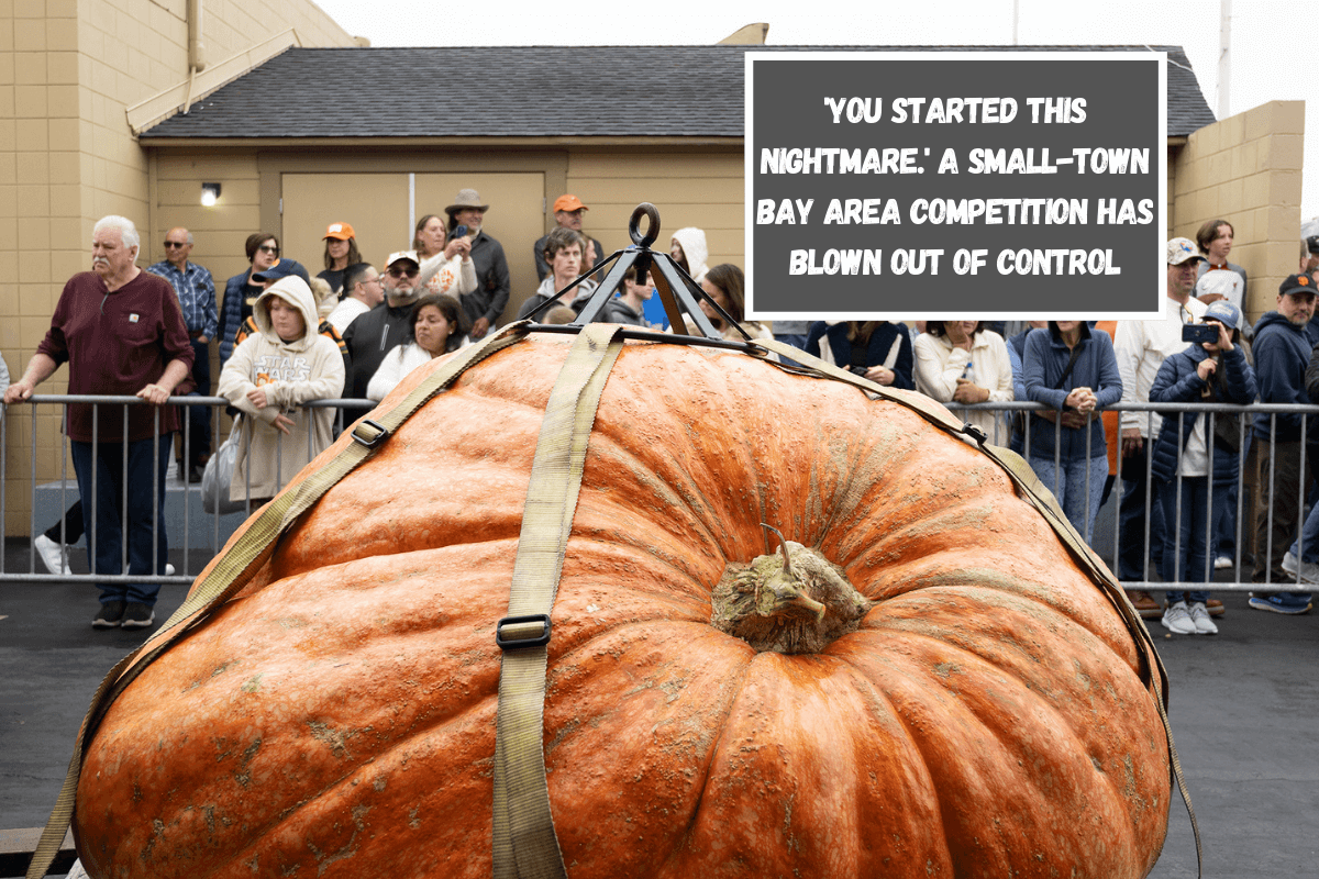 'You started this nightmare.' A small-town Bay Area competition has blown out of control