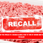 After the spread of a noxious illness, over 75 tons of ground beef were recalled