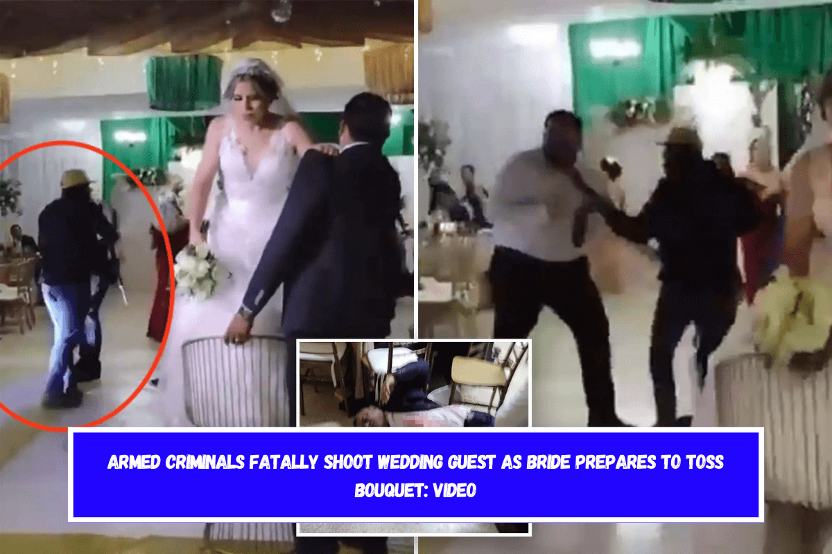 Armed criminals fatally shoot wedding guest as bride prepares to toss bouquet video