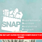 California Snap Alert Cal fresh Food Stamps Payments Reach Up to $1,756 This December