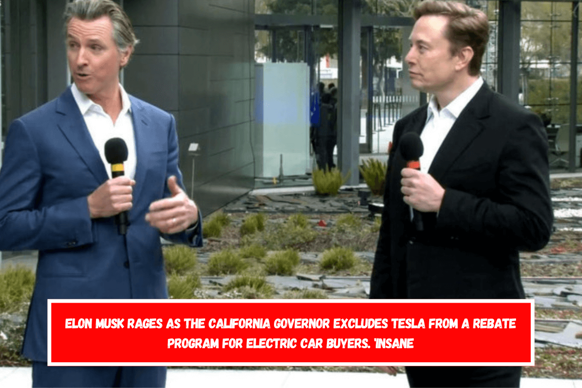 Elon Musk rages as the California governor excludes Tesla from a rebate program for electric car buyers. 'Insane