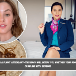 I am a flight attendant—this hack will notify you whether your room is crawling with bedbugs