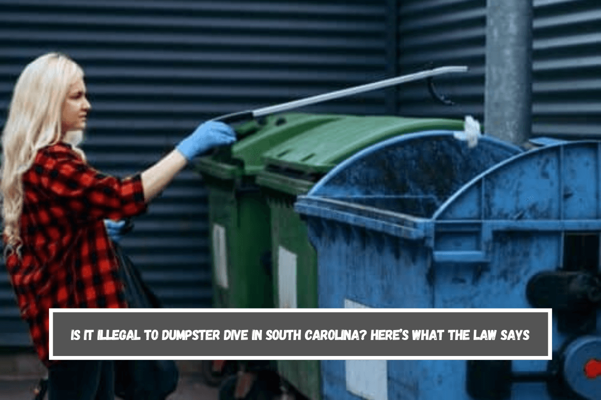 Is It Illegal to Dumpster Dive in South Carolina Here’s What the Law Says