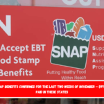 New SNAP benefits confirmed for the last two weeks of November – $975 to be paid in these states