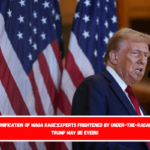 'Personification of MAGA rage'Experts frightened by under-the-radar hire Trump may be eyeing