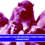 Police warn residents to lock down their houses as dozens of monkeys escape a research facility