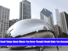 8 Small Things About Illinois You Never Thought Would Make You Homesick