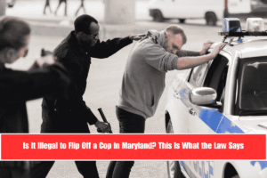 Is It Illegal to Flip Off a Cop in Maryland This Is What the Law Says