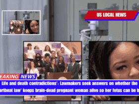 Life and death contradictions' Lawmakers seek answers on whether the 'heartbeat law' keeps brain-dead pregnant woman alive so her fetus can be born