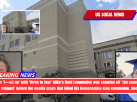 Teen 'f—ed up' with 'three to four' Mike's Hard Lemonades was showing off 'the sound of his exhaust' before the deadly crash that killed his homecoming king companion. Sheriff